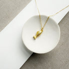 Gold fish-shaped pendant on a chain in a white dish