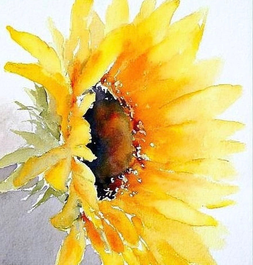 Water Color Painting Class  - Sunday, April 26, 2026 12-3 PM